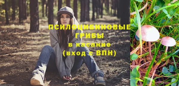 стафф Аркадак