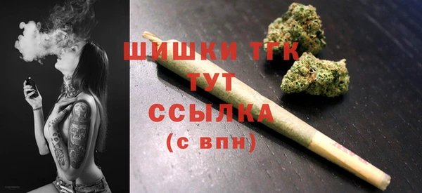 стафф Аркадак