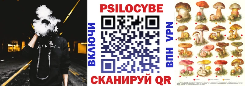 Псилоцибиновые грибы Cubensis darknet состав Пролетарск